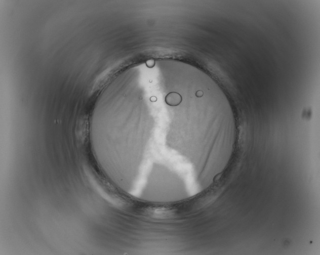 X0000112100165200909151209