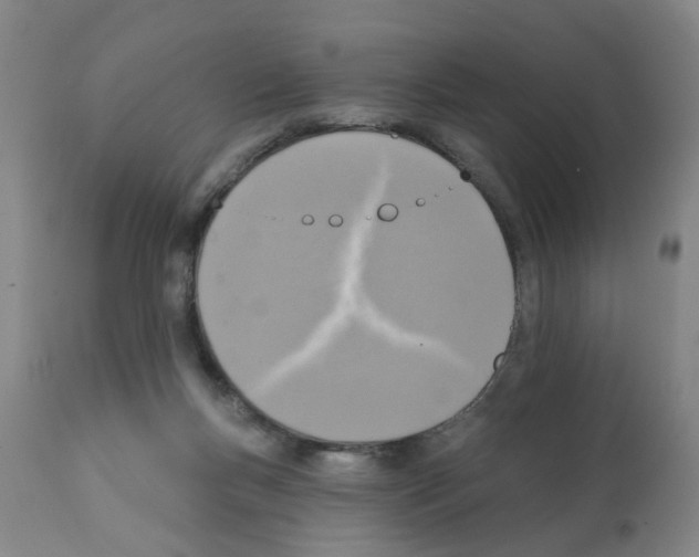 X0000112100167200909151209