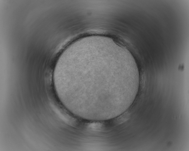 X0000112100168200909151209