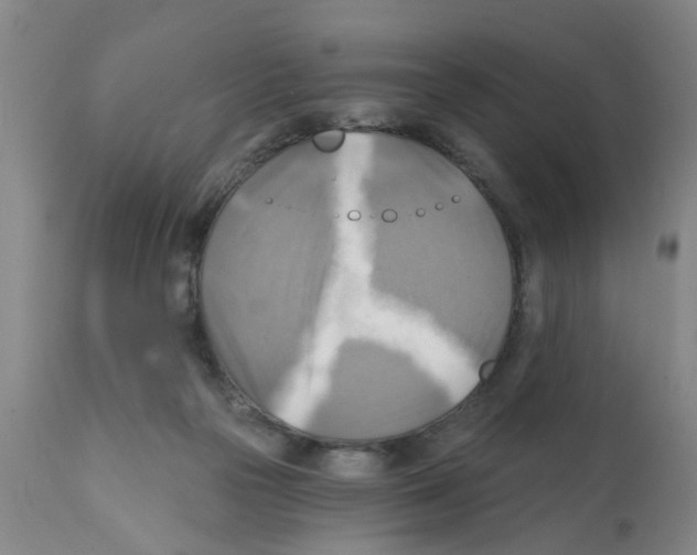 X0000112100169200909151209