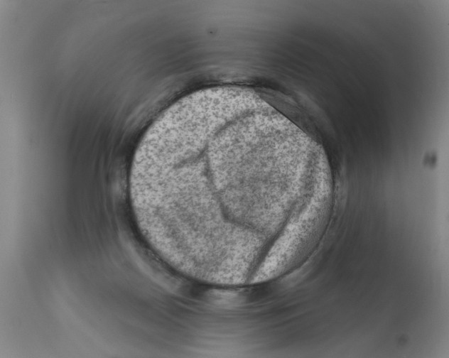 X0000112100170200909151209