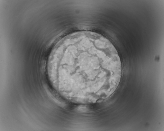 X0000112100171200909151209