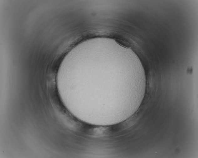 X0000112100172200909151209