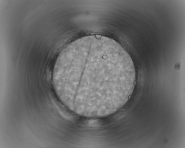 X0000112100173200909151209