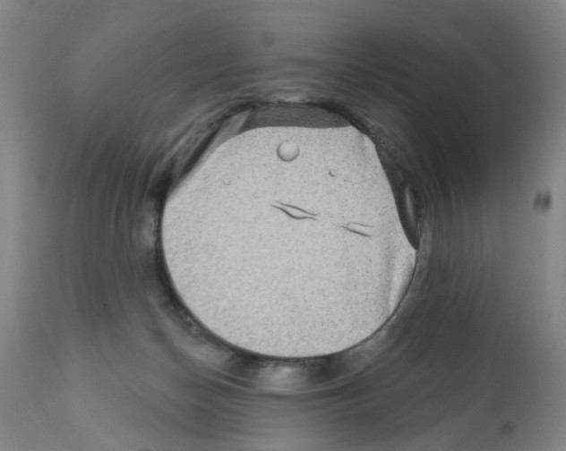 X0000112100174200909151209