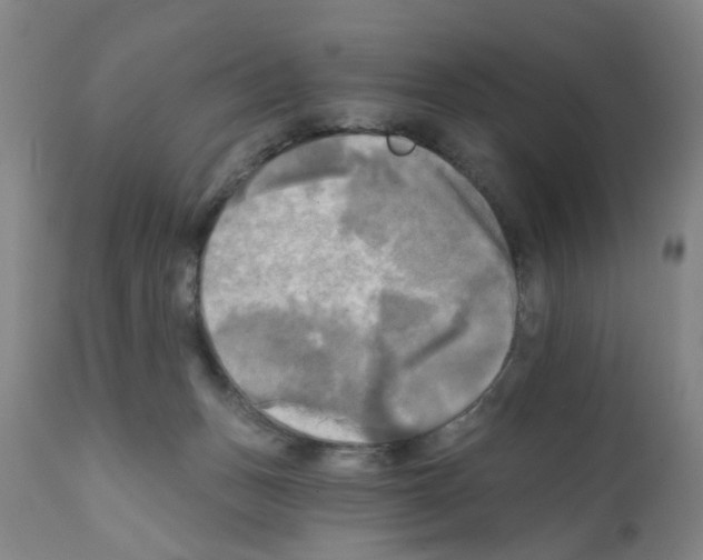 X0000112100175200909151209