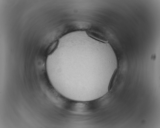 X0000112100176200909151209