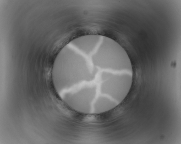 X0000112100177200909151209