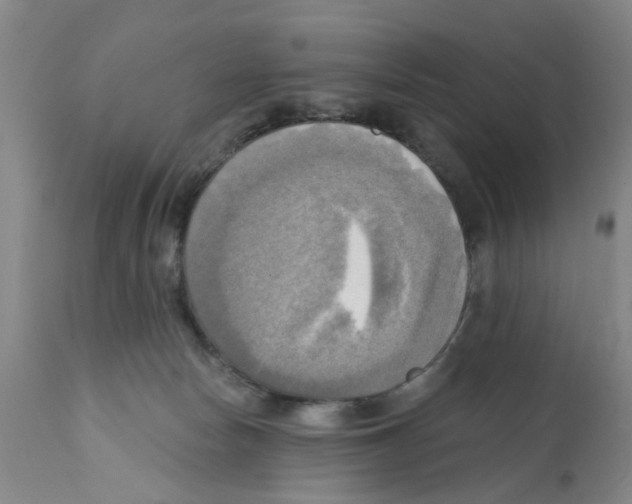 X0000112100178200909151209