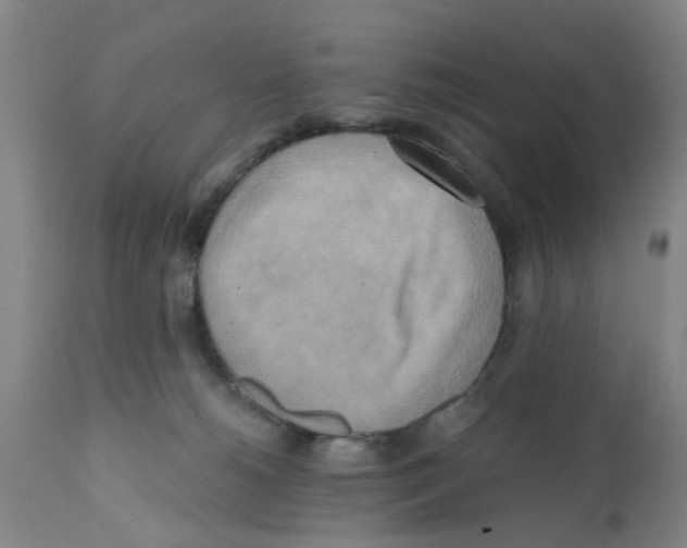 X0000112100180200909151209