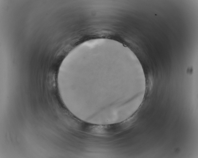 X0000112100182200909151209