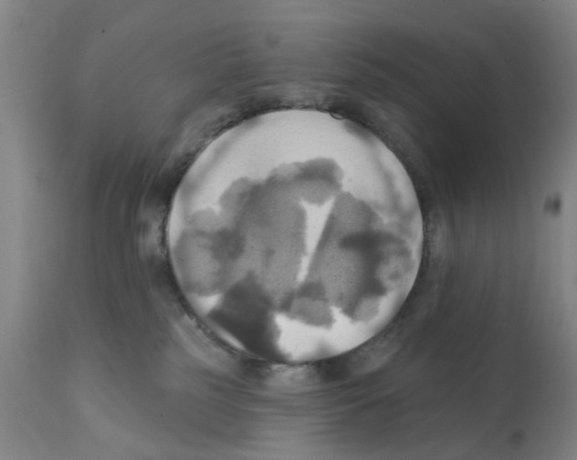 X0000112100185200909151209