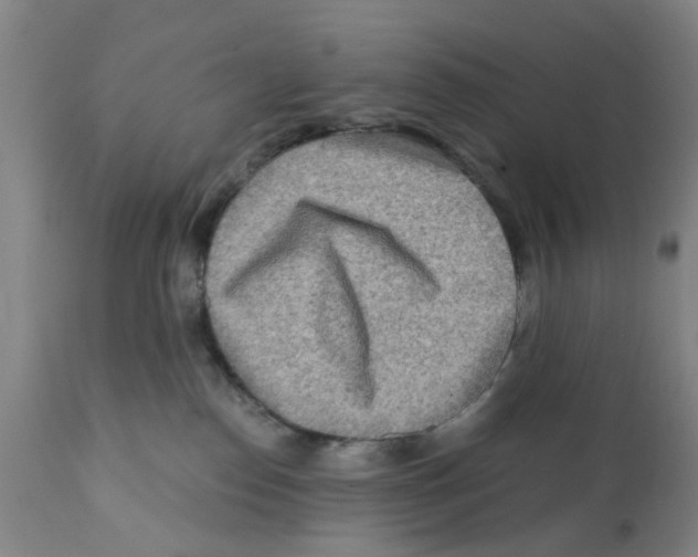 X0000112100186200909151209