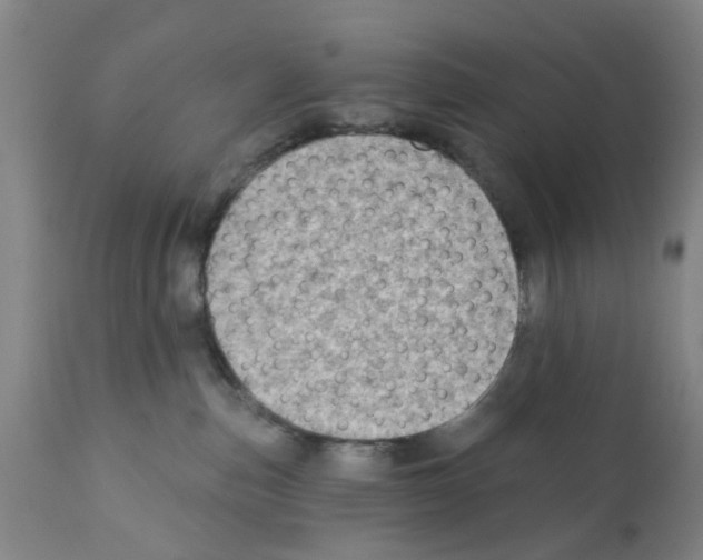X0000112100187200909151209