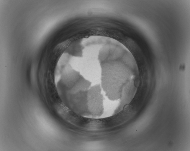X0000112100189200909151209