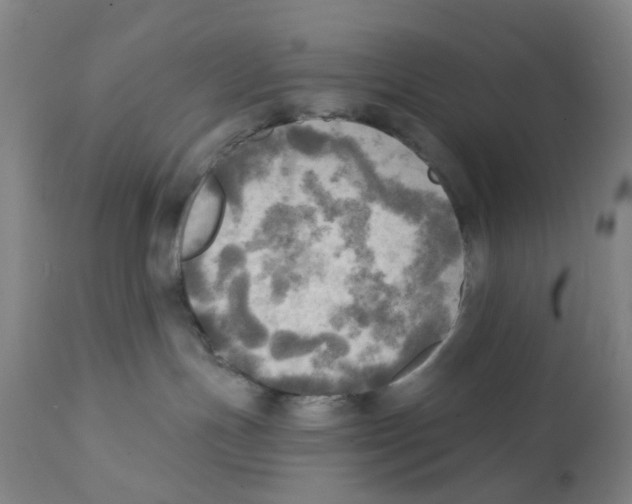 X0000112100191200909151209