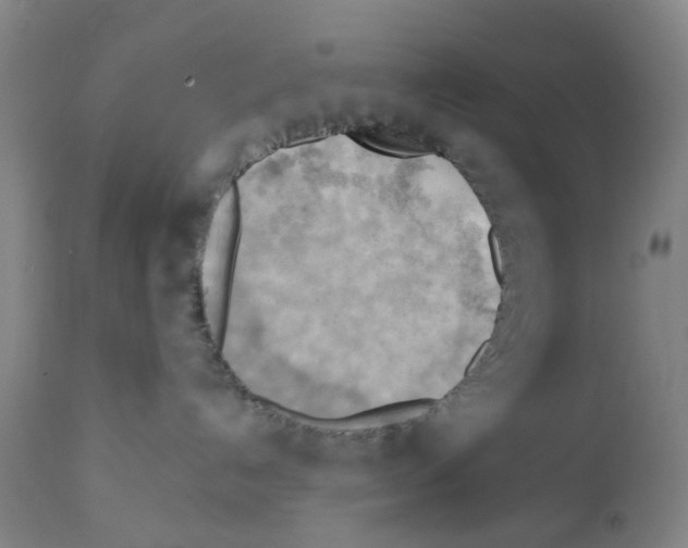 X0000112100192200909151209