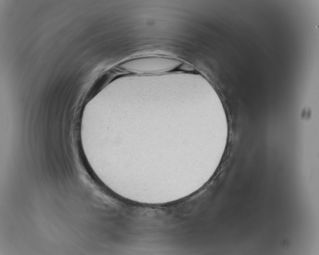 X0000112100193200909151208