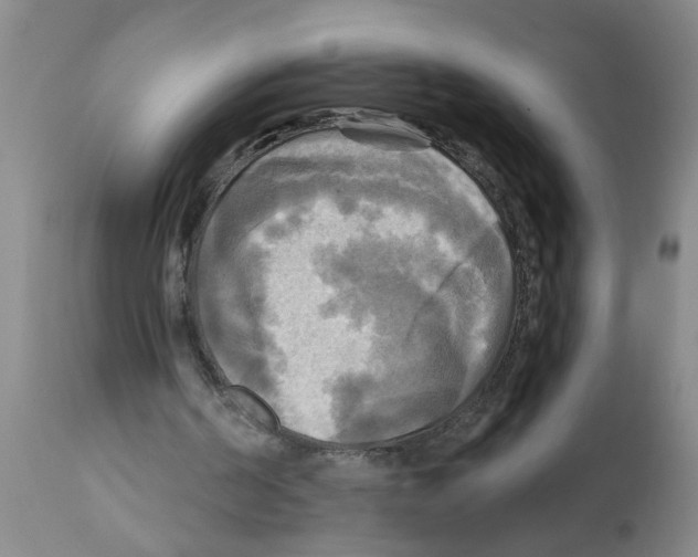 X0000112100194200909151208