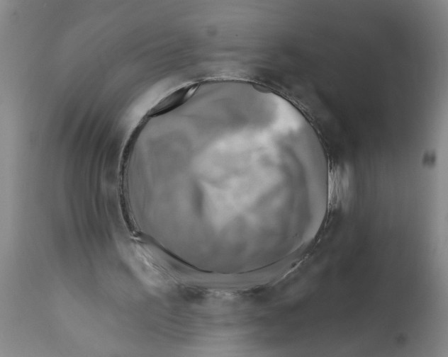 X0000112100195200909151208