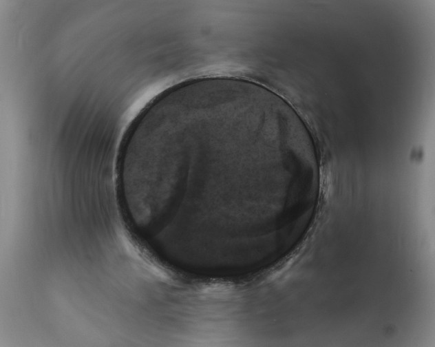 X0000112100196200909151208