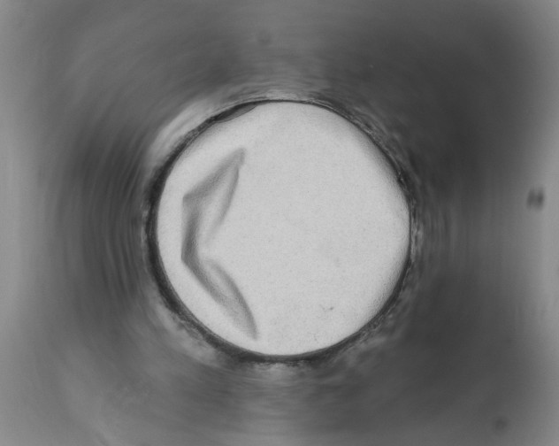X0000112100197200909151208
