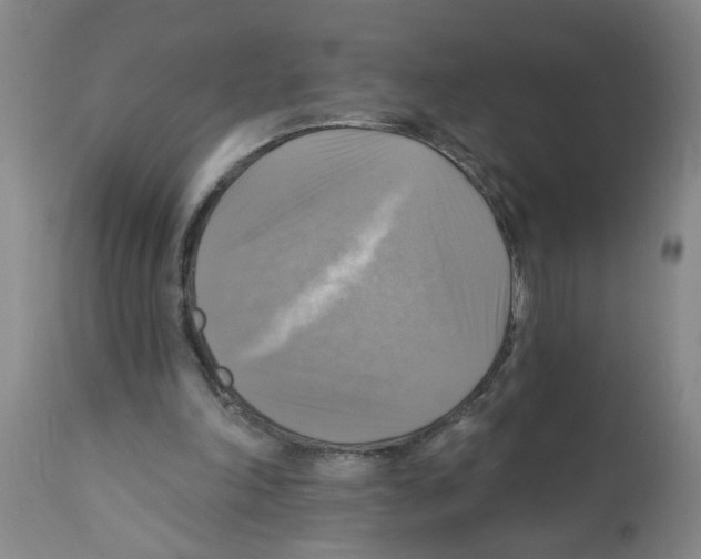 X0000112100198200909151208