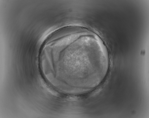 X0000112100199200909151208
