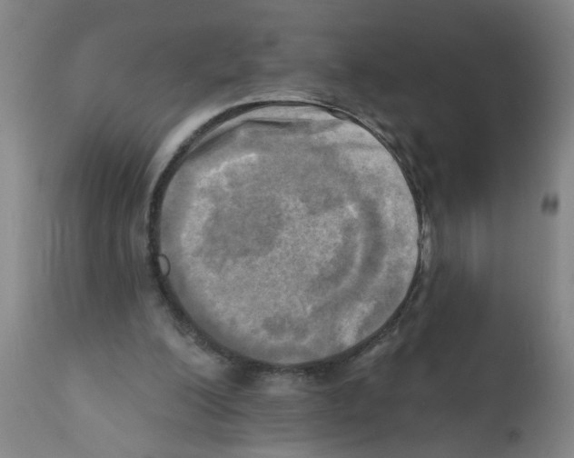 X0000112100200200909151208