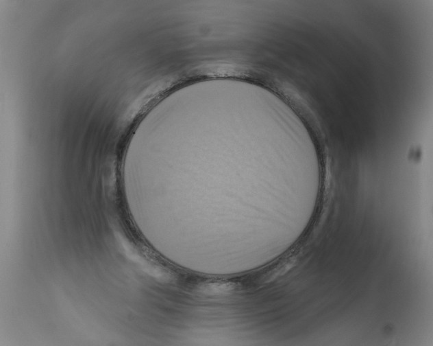 X0000112100202200909151208