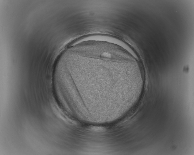 X0000112100203200909151208