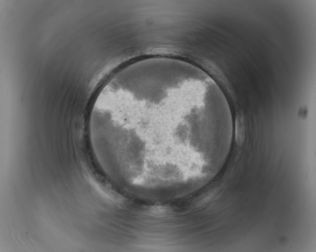 X0000112100204200909151208