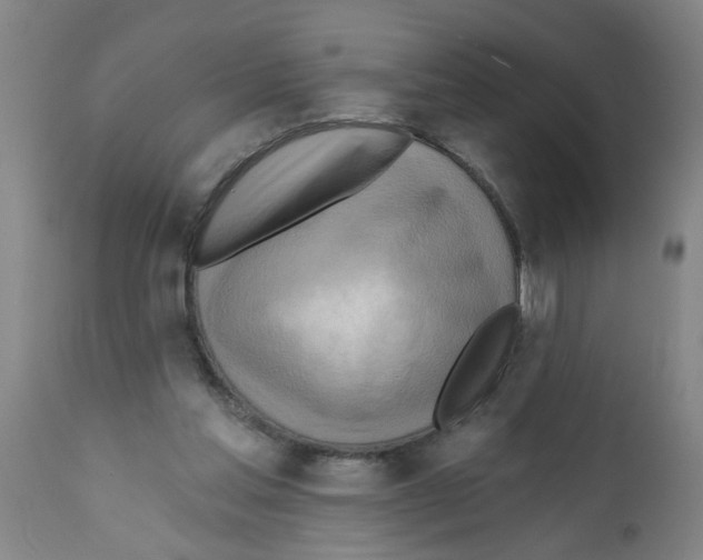 X0000112100205200909151208