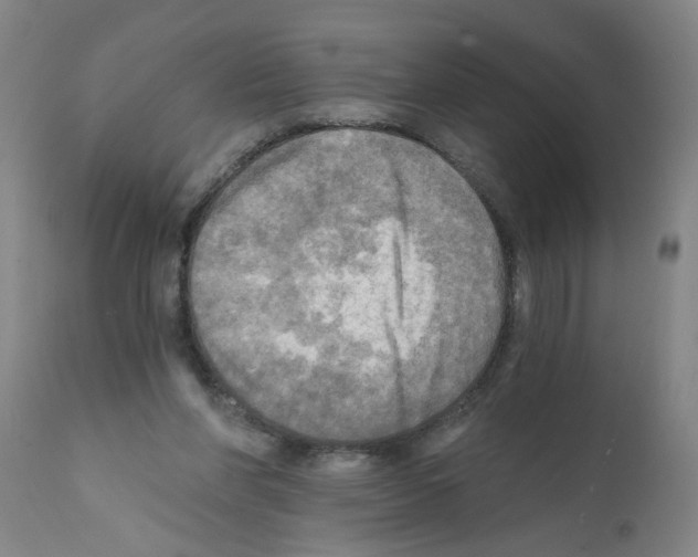 X0000112100206200909151208