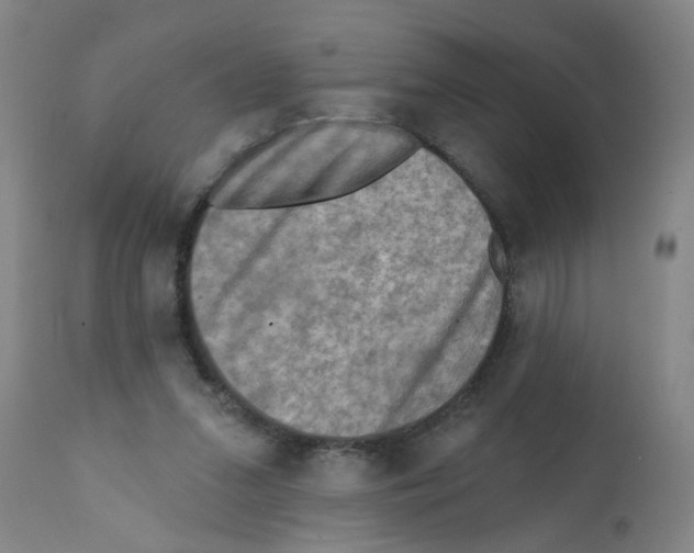 X0000112100207200909151208