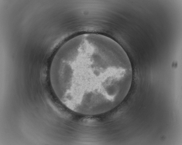 X0000112100208200909151208
