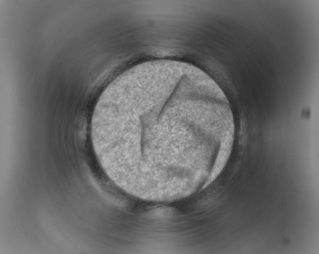 X0000112100210200909151208
