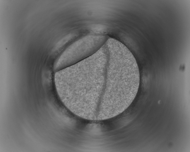X0000112100211200909151208