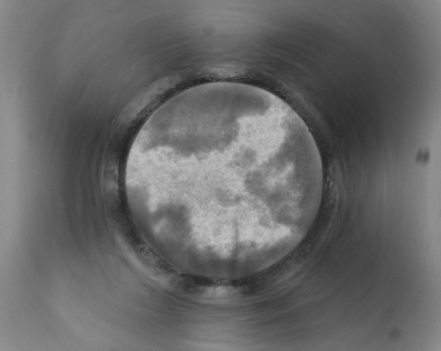 X0000112100212200909151208