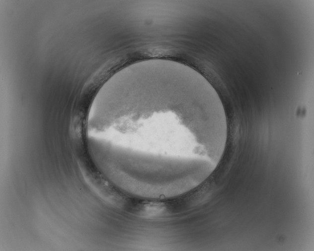 X0000112100214200909151208