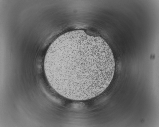 X0000112100215200909151208