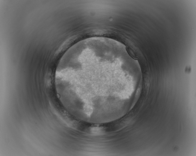 X0000112100216200909151208