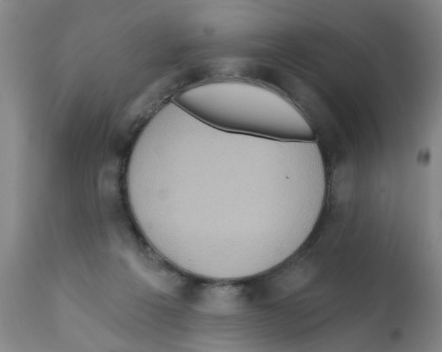 X0000112100217200909151208