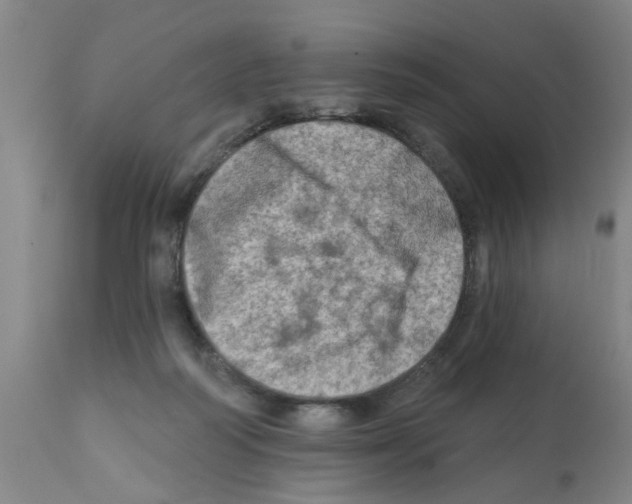 X0000112100218200909151208