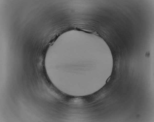 X0000112100219200909151208