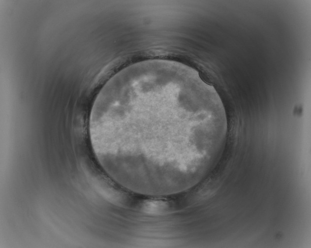 X0000112100220200909151208