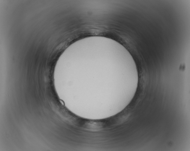 X0000112100221200909151208