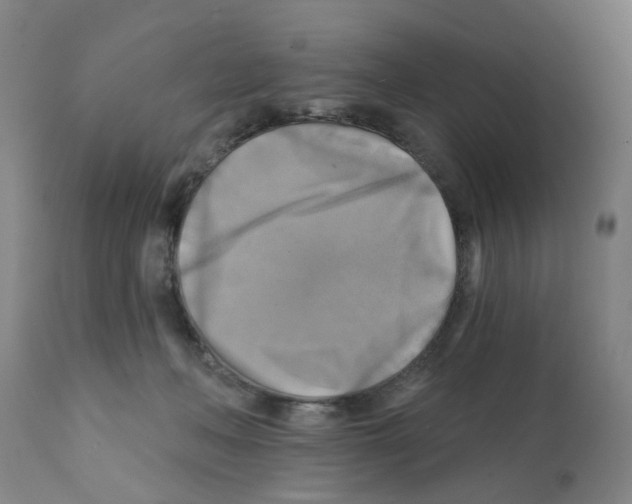 X0000112100222200909151208