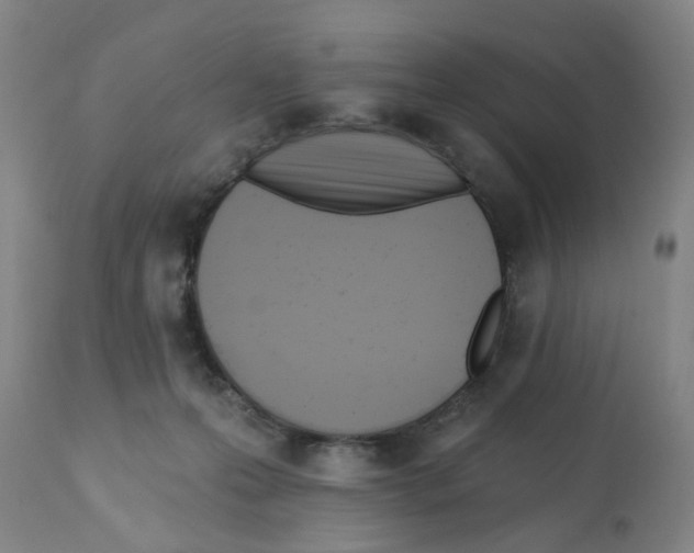 X0000112100223200909151208