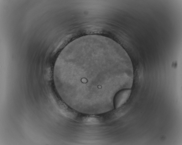 X0000112100224200909151208